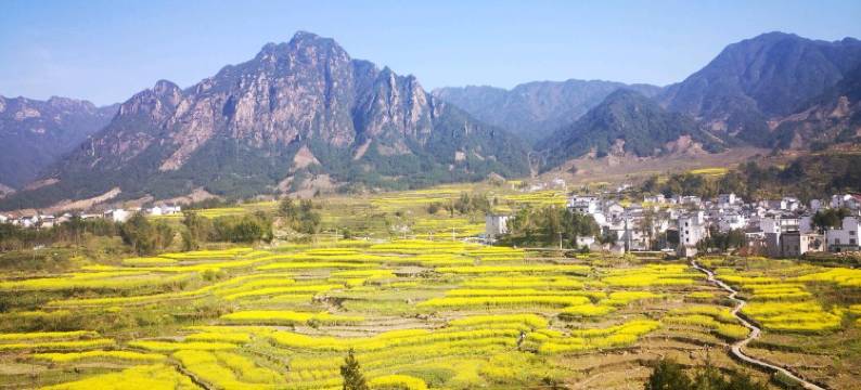 绩溪徽香美食客栈图片