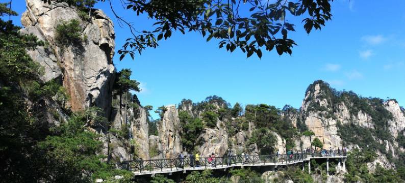 大明山百合农庄图片