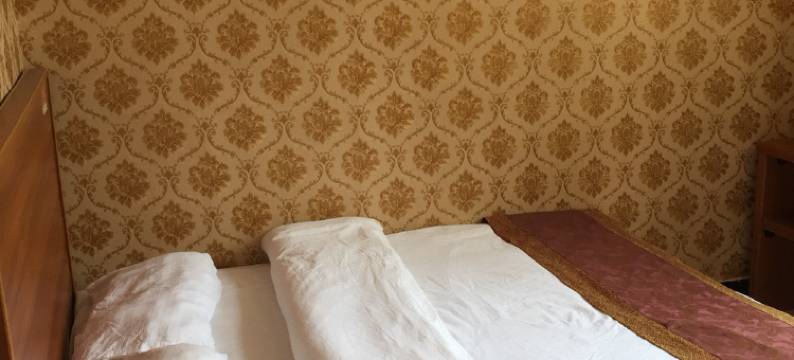 临泉洁圣宾馆图片