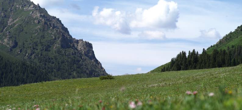 山丹军马场槐溪小镇图片