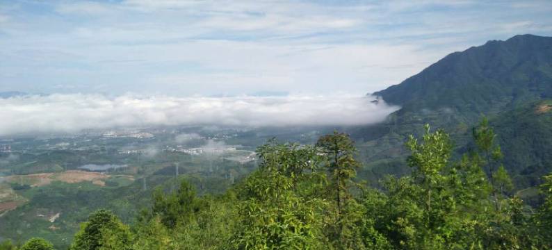 松阳荣伟农家乐图片