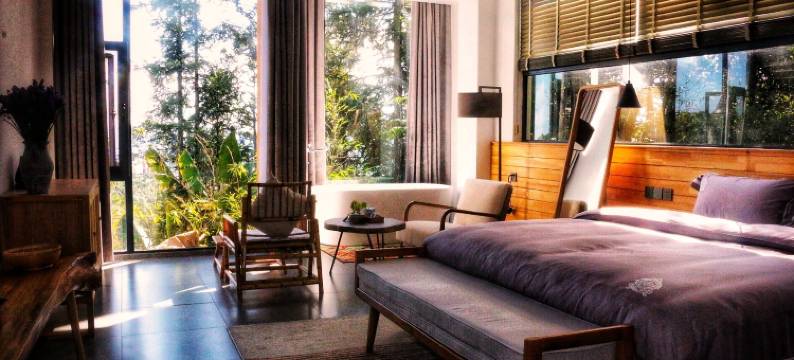 哈窝窝·然梦星宿图片