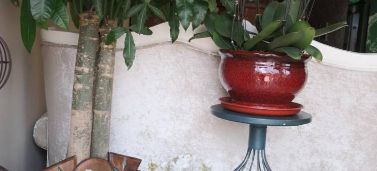 大连惠泽商旅酒店图片