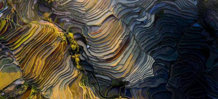 元阳生田·醒空｜多依树全景日出梯田观景民宿图片