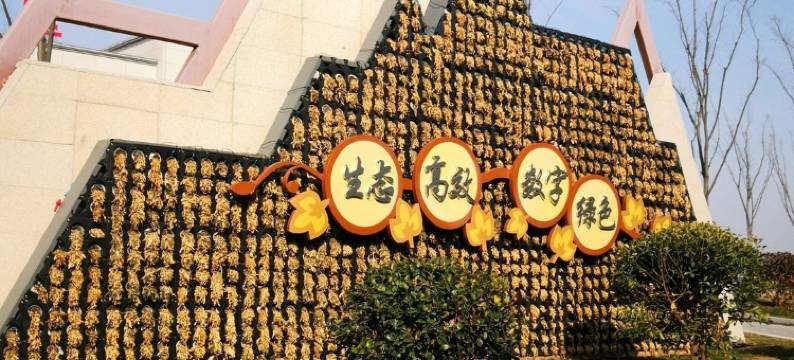 睢宁轩宇酒店图片