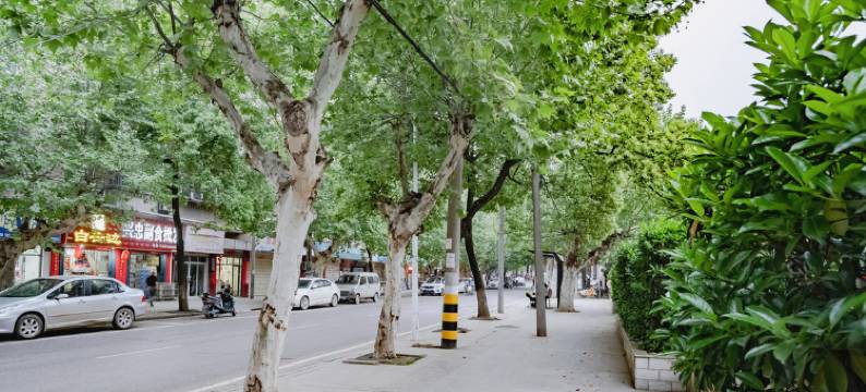 武汉知音莲花湖酒店(蔡甸大街文正街店)图片