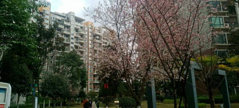 成都七贤居主题公寓图片