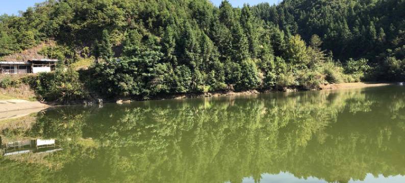 婺源李坑溪边客栈图片