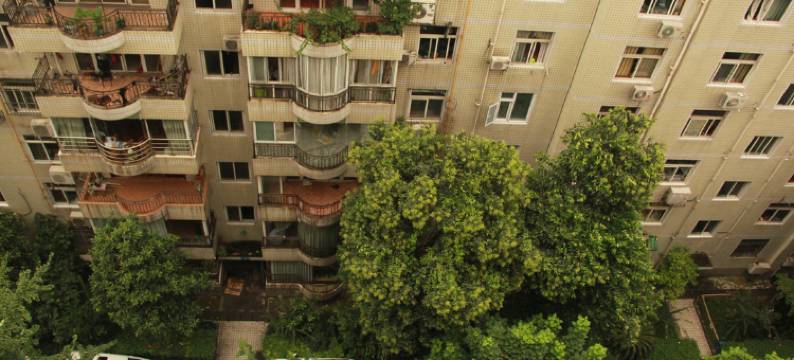 成都紫藤1号青年公寓图片