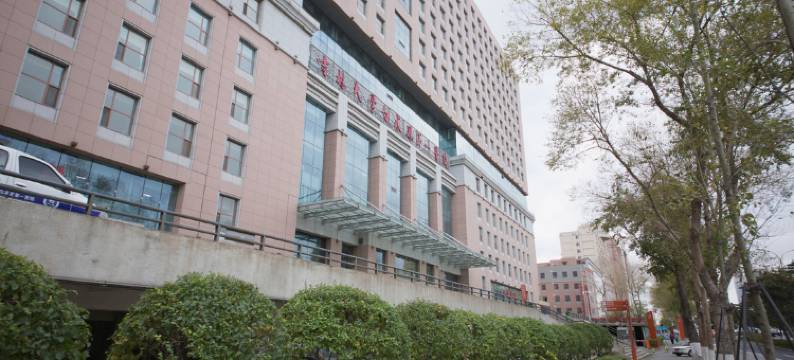 长春市乐乐时尚宾馆(吉大一院店)图片