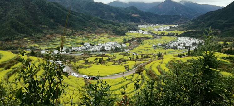 婺源江岭姗媛宾馆图片