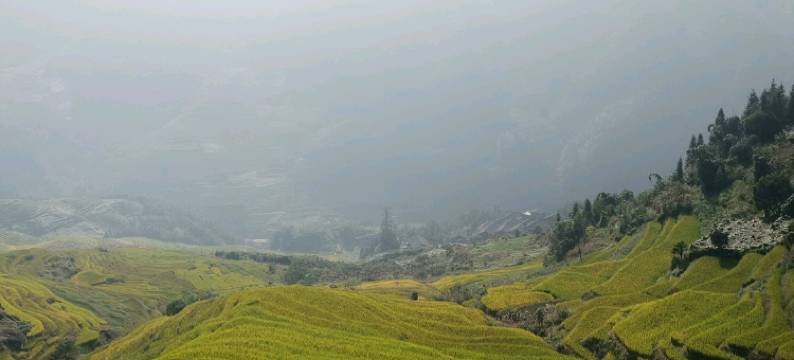 龙脊梯田聚仙阁图片