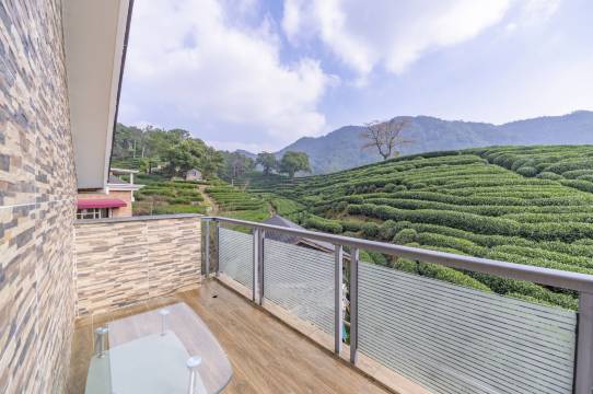 杭州清静民宿(西湖风景区梅家坞店)