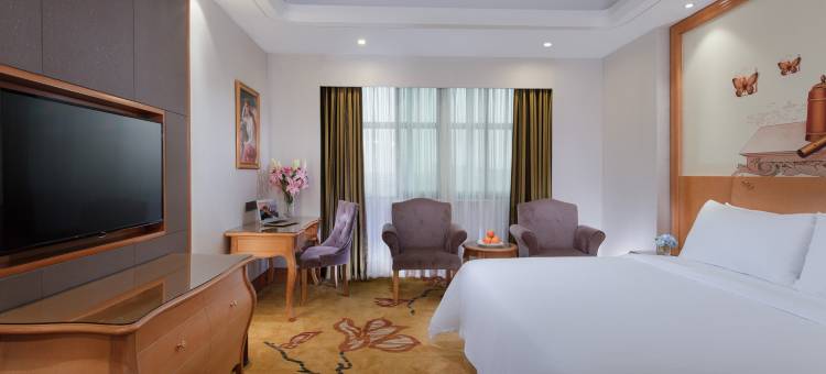 维也纳国际酒店(中山东凤大信新都汇店)图片