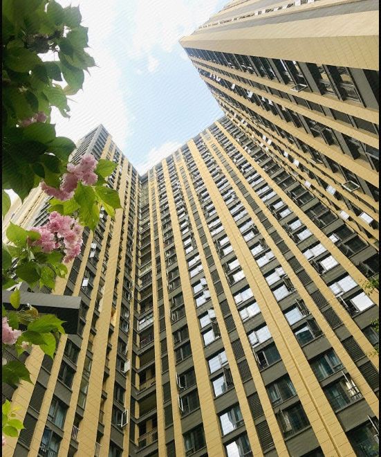 Hotel Overview