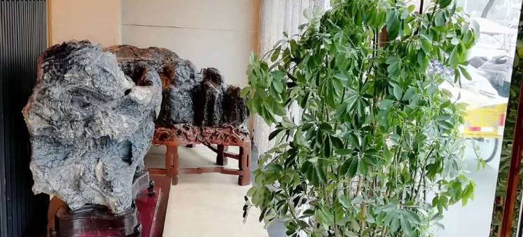 邳州大东方酒店图片