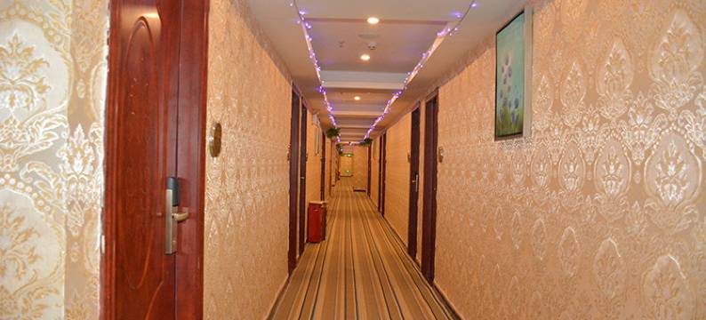 华辰四季酒店(深圳北站民治地铁站店)图片