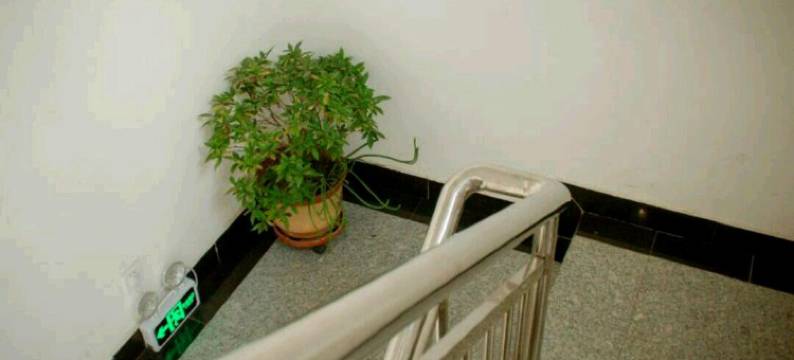 天津鑫洋旅馆图片