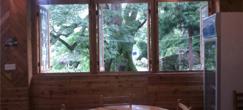 龙胜古樟驿站图片