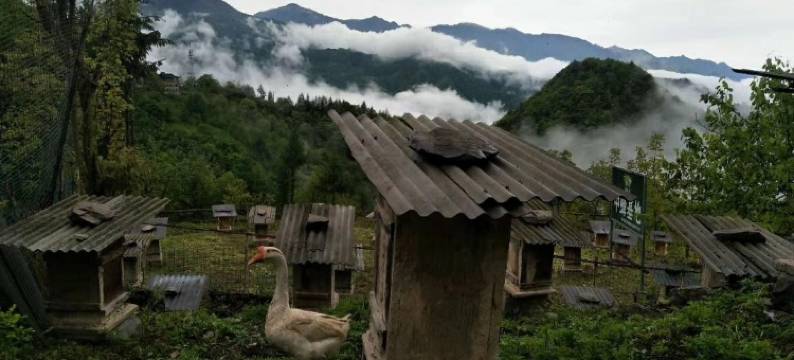 神农架宝捷家庭旅馆图片