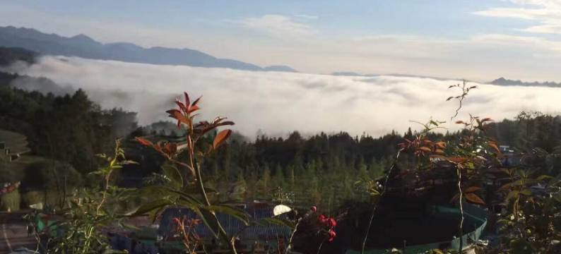 峨眉山清乐民宿图片