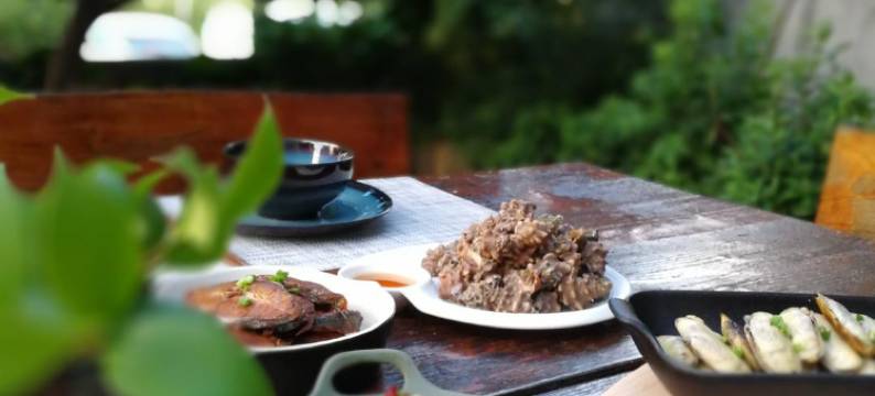 朱家尖小鱼儿小栈图片