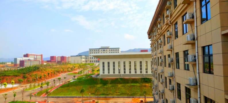 汝州丁鼎假日酒店图片