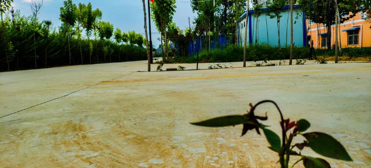 七州酒店(吕村店)图片