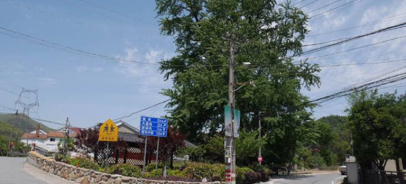莫干山小斗坞客栈(江南瑶坞旅游度假区店)图片