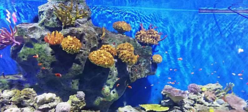 日照赶海御苑家庭式民宿图片