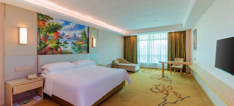 维也纳酒店(惠州高铁北站小金口店)图片