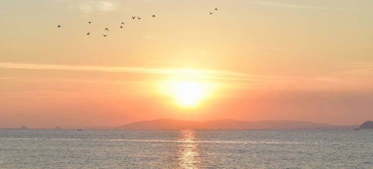 厦门sunrise日初民宿图片