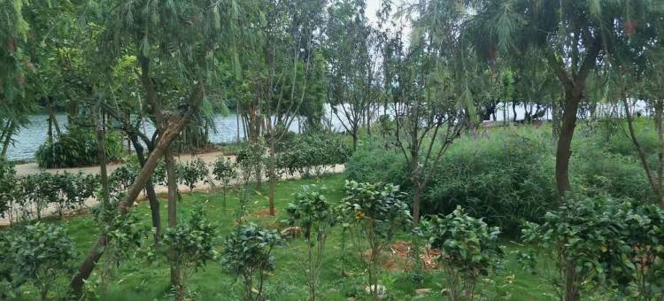 普者黑古月客栈图片