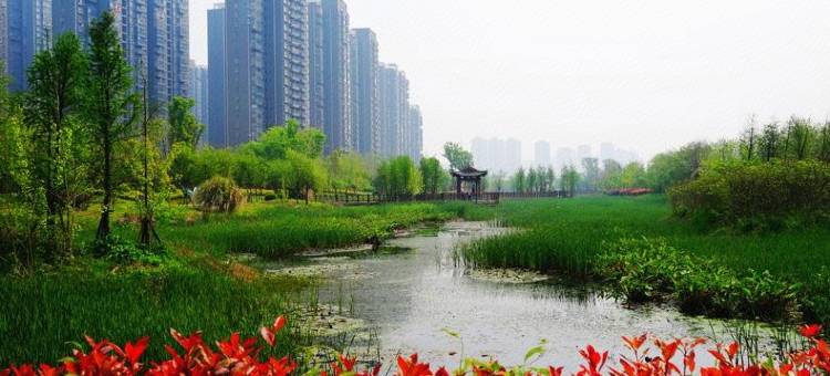 纽宾凯国际酒店(磁湖湿地公园黄石北站店)图片
