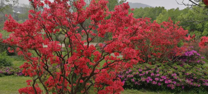 杭州家帆宾馆图片