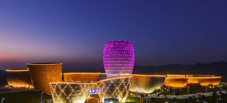 醴陵图兰朵酒店图片