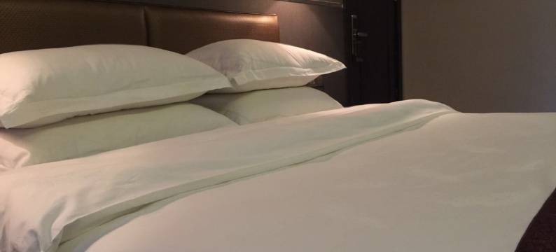 巴中丽都假日酒店图片