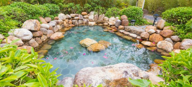 广州荔圃温泉酒店图片