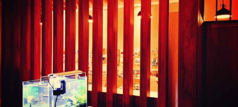 益阳金盛商务宾馆图片