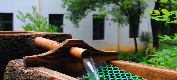 杭州吉驿森林酒店(省肿瘤医院店)图片