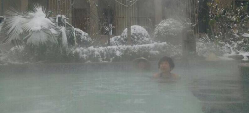 眉县晨阳宾馆图片