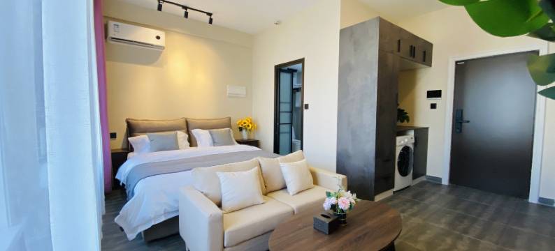 长春艺墅拾光公寓图片