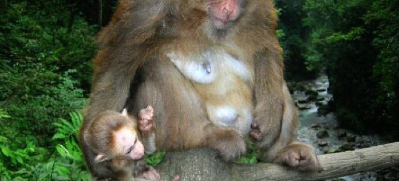 峨眉山清音阁秀湖旅店图片