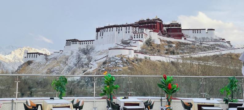 雪莲花富氧观景酒店(拉萨布达拉宫店)图片