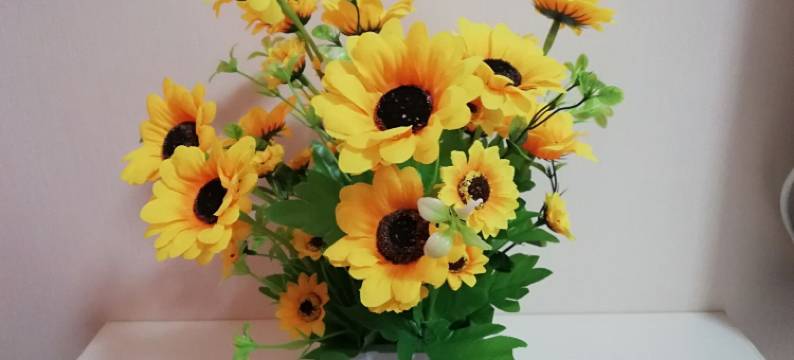 嵩明佳人居客栈图片