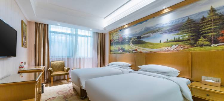 维也纳酒店(襄阳唐城鼓楼店)图片