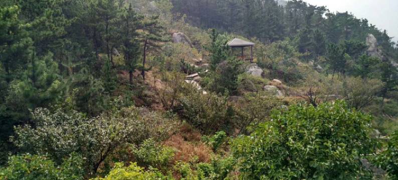 青岛晓峰商务宾馆图片