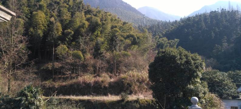 九江紫藤萝青年旅社图片