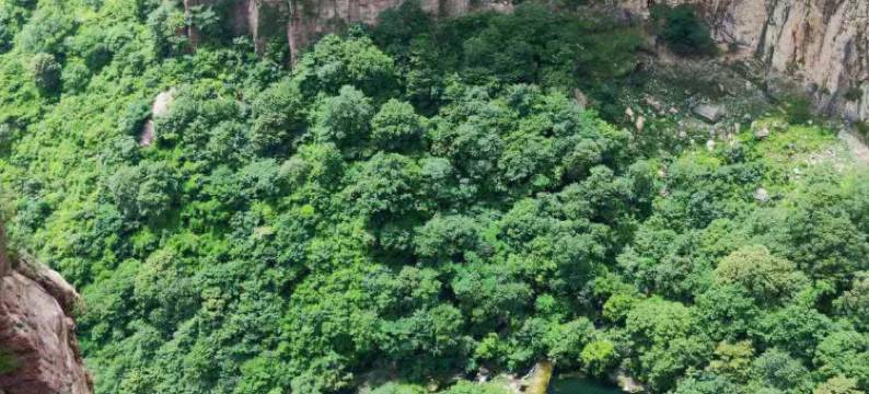 辉县星嘉亿商务酒店图片