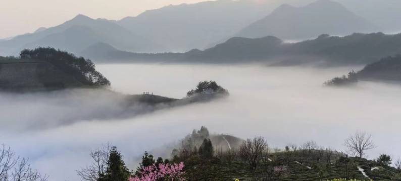 歙县坡山惠民客栈图片